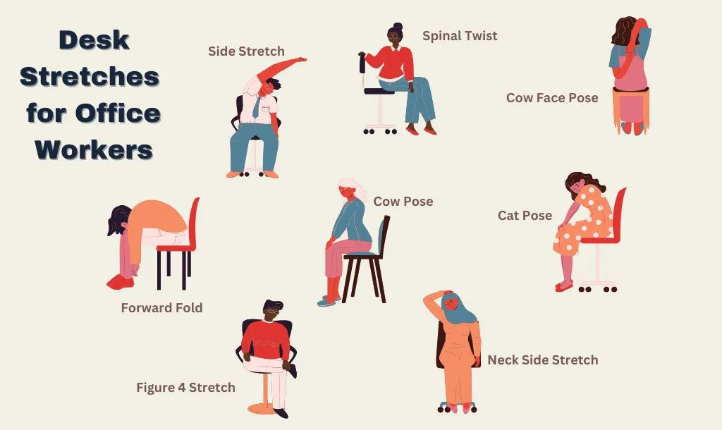 Beyond the Chair: Designing a Dynamic Workday for Maximum Energy